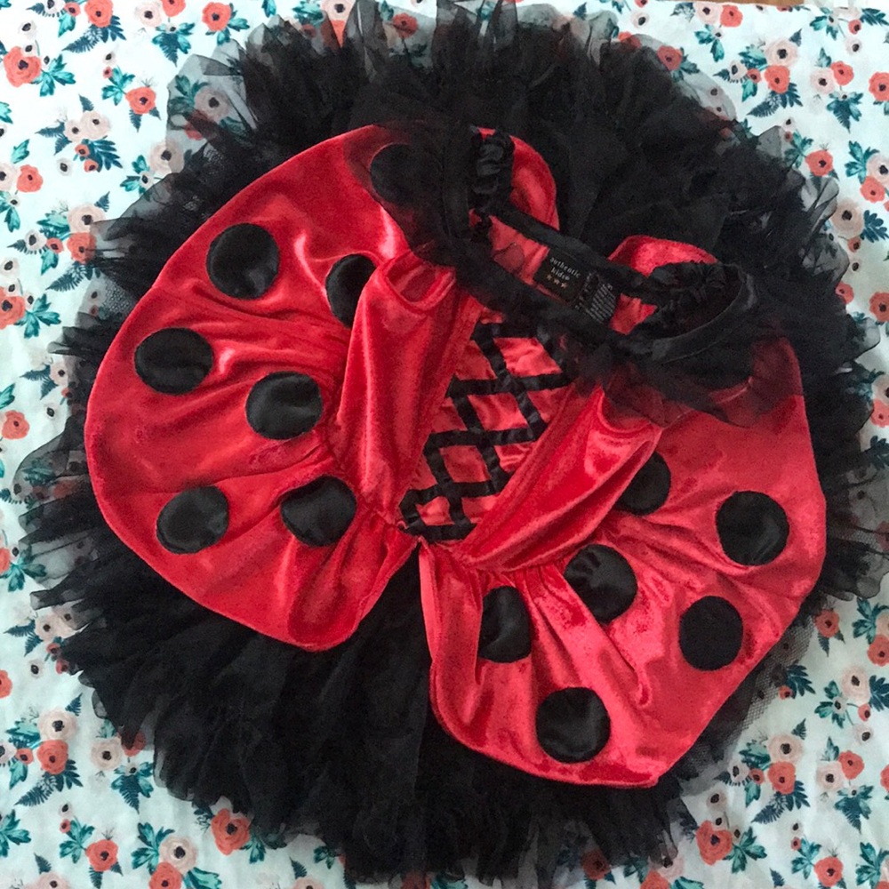 Girls 2T lady bug costume